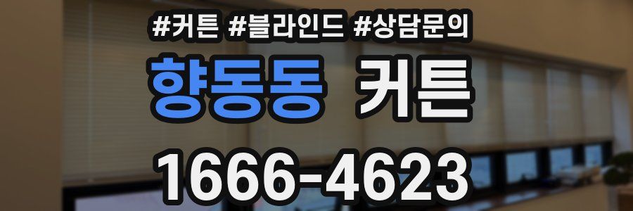 향동동 커튼