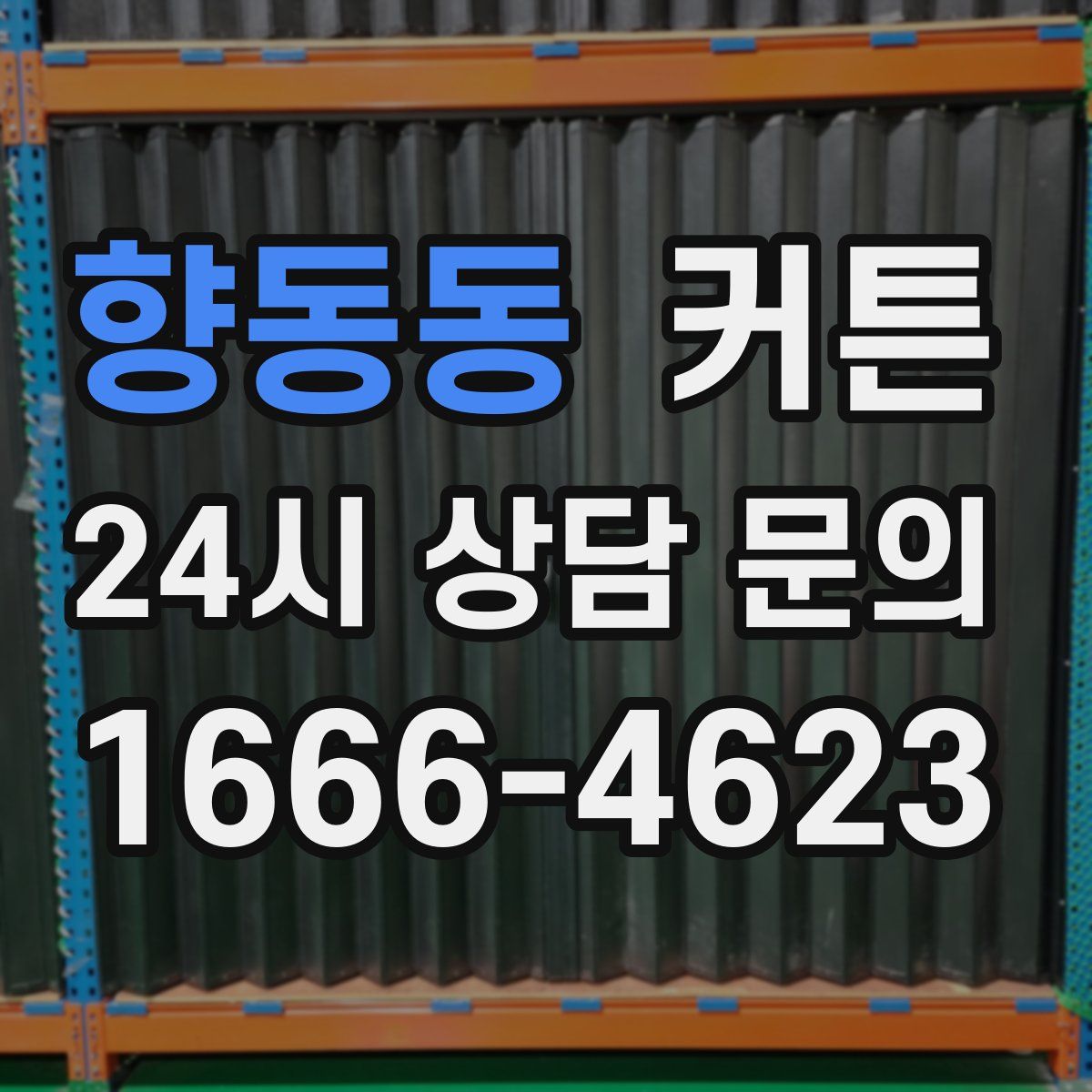 향동동 커튼