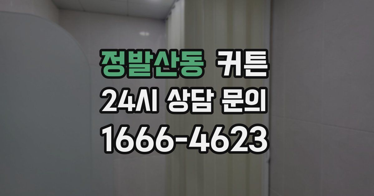 정발산동 커튼