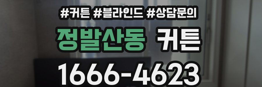 정발산동 커튼