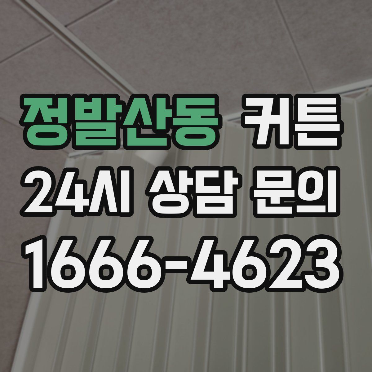 정발산동 커튼