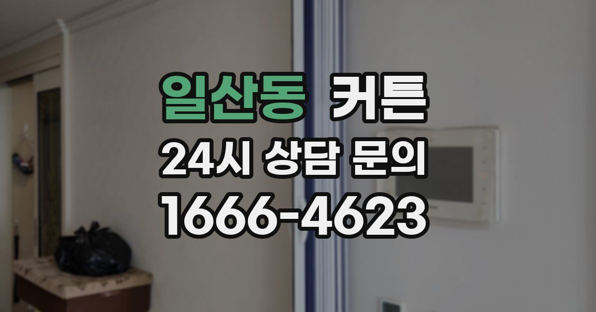일산동 커튼