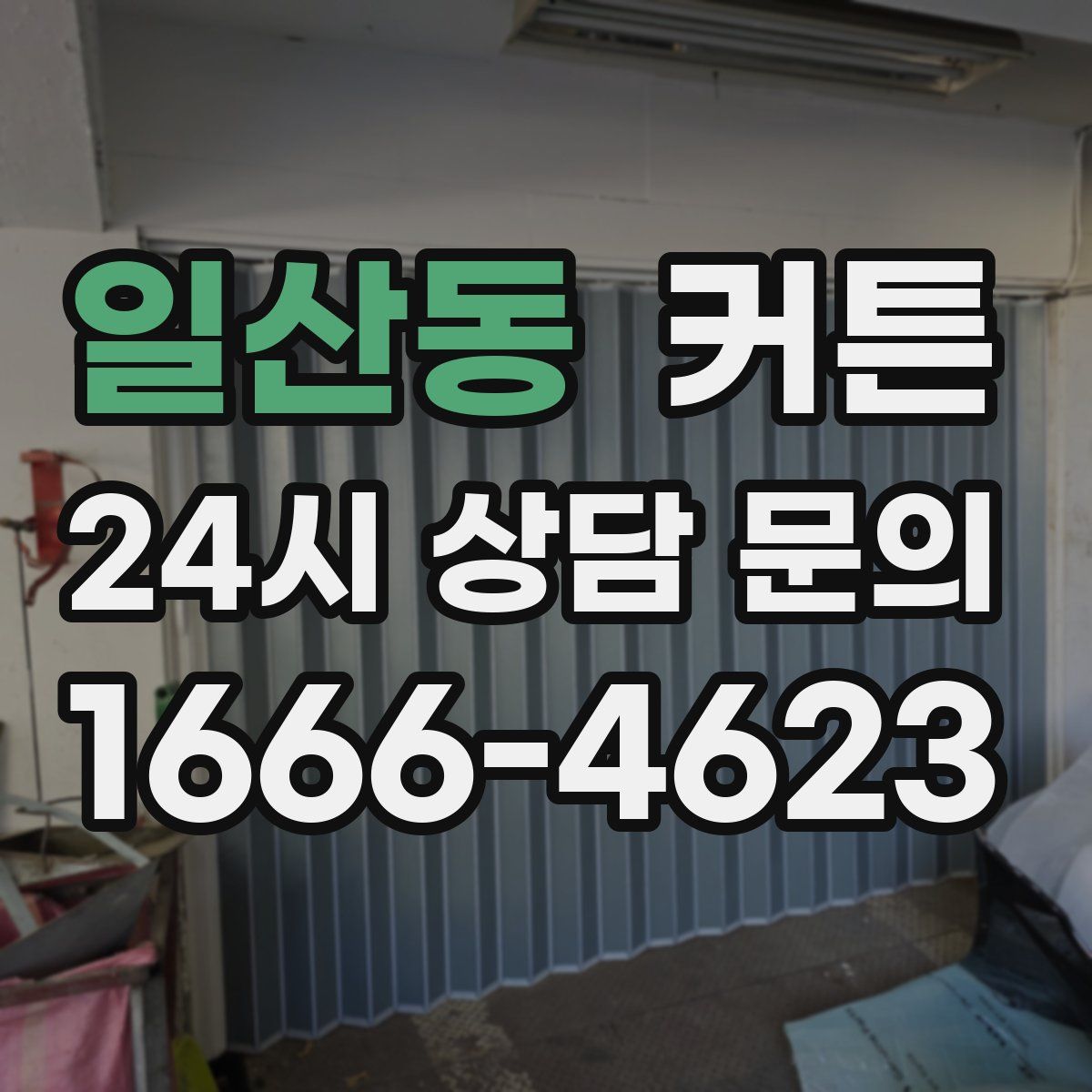 일산동 커튼
