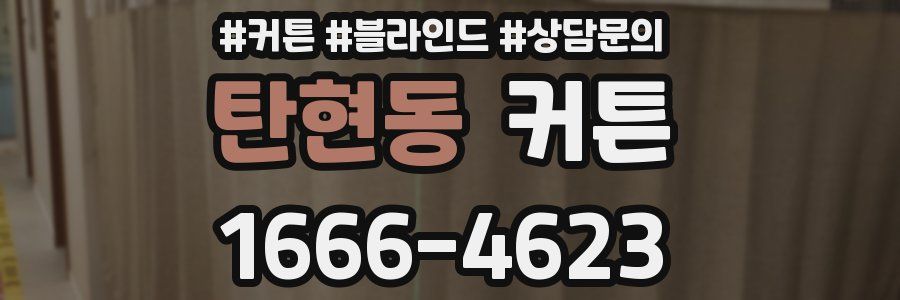 탄현동 커튼