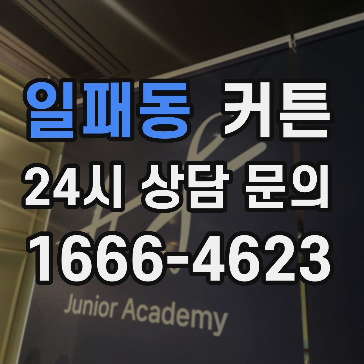 일패동 커튼