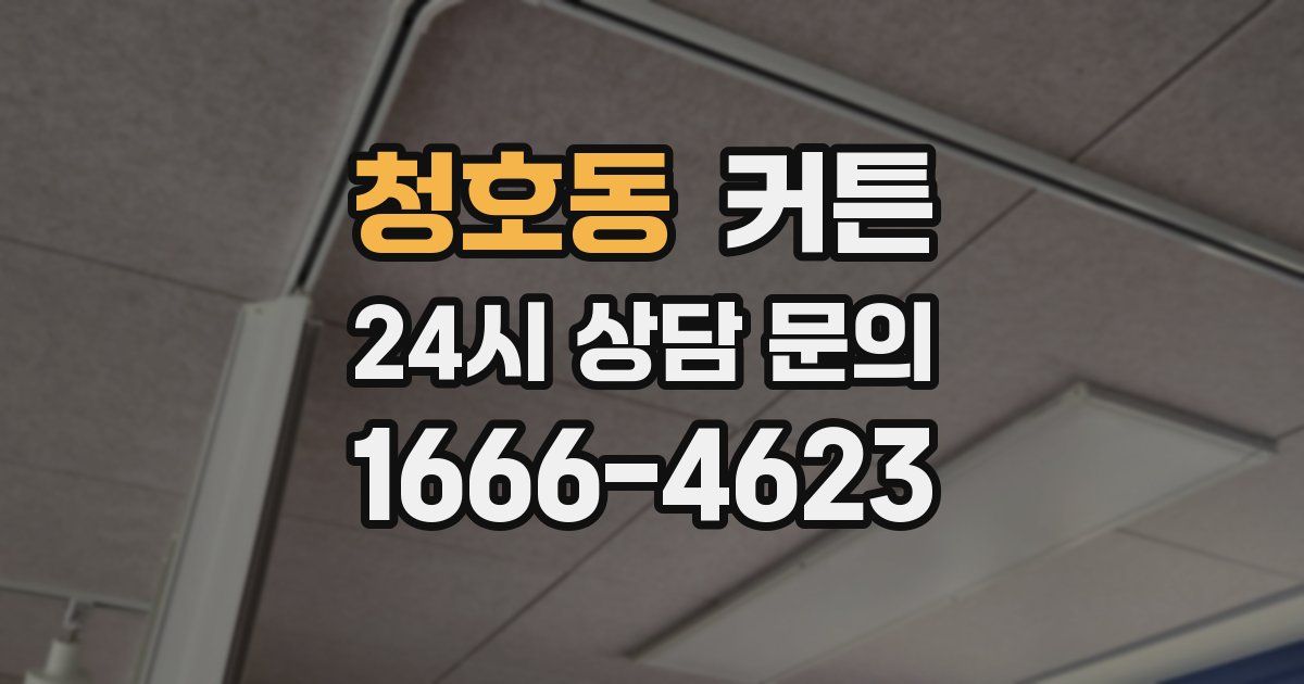 청호동 커튼