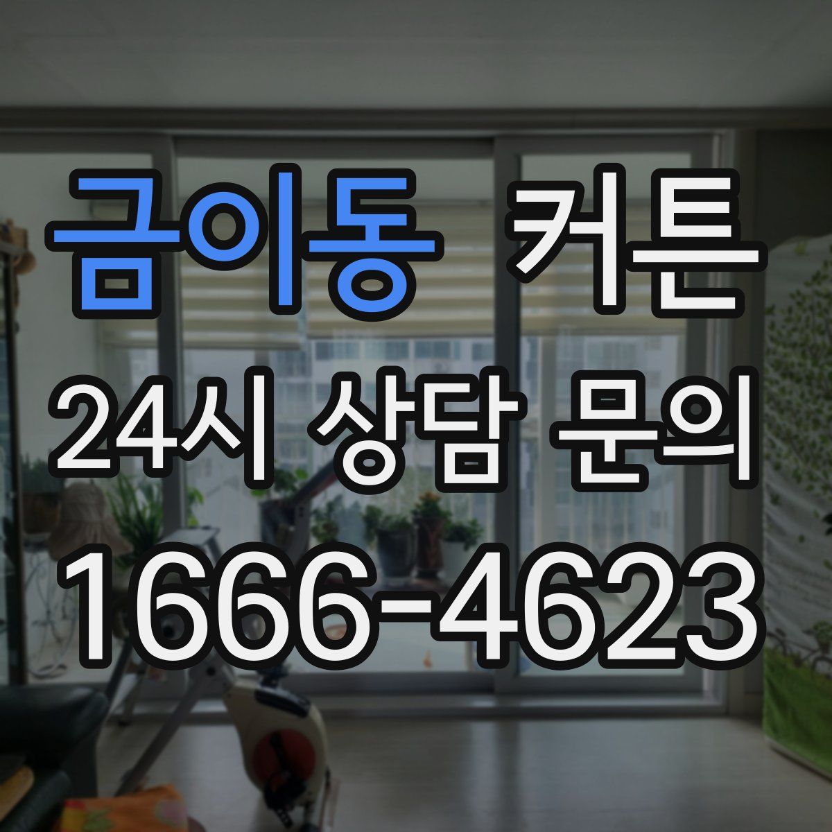 금이동 커튼