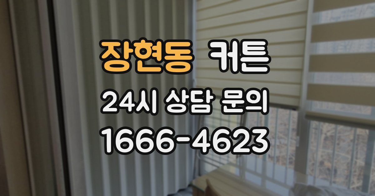 장현동 커튼