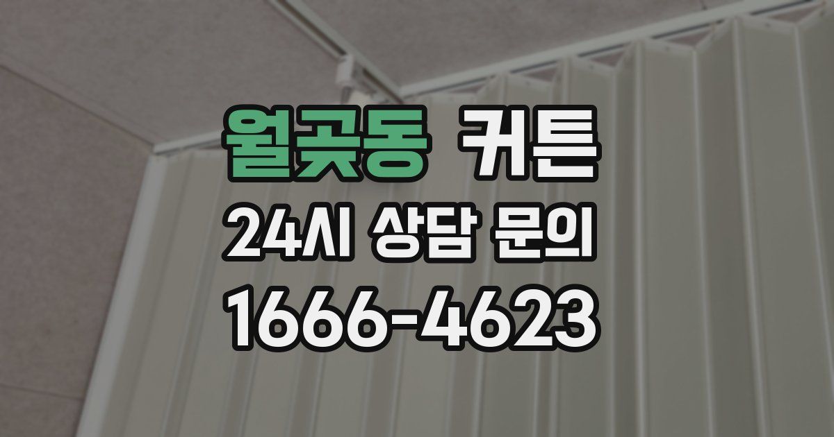 월곶동 커튼