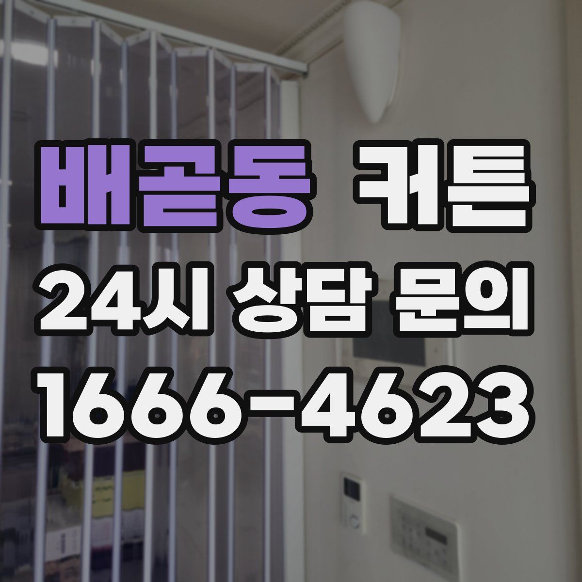 배곧동 커튼