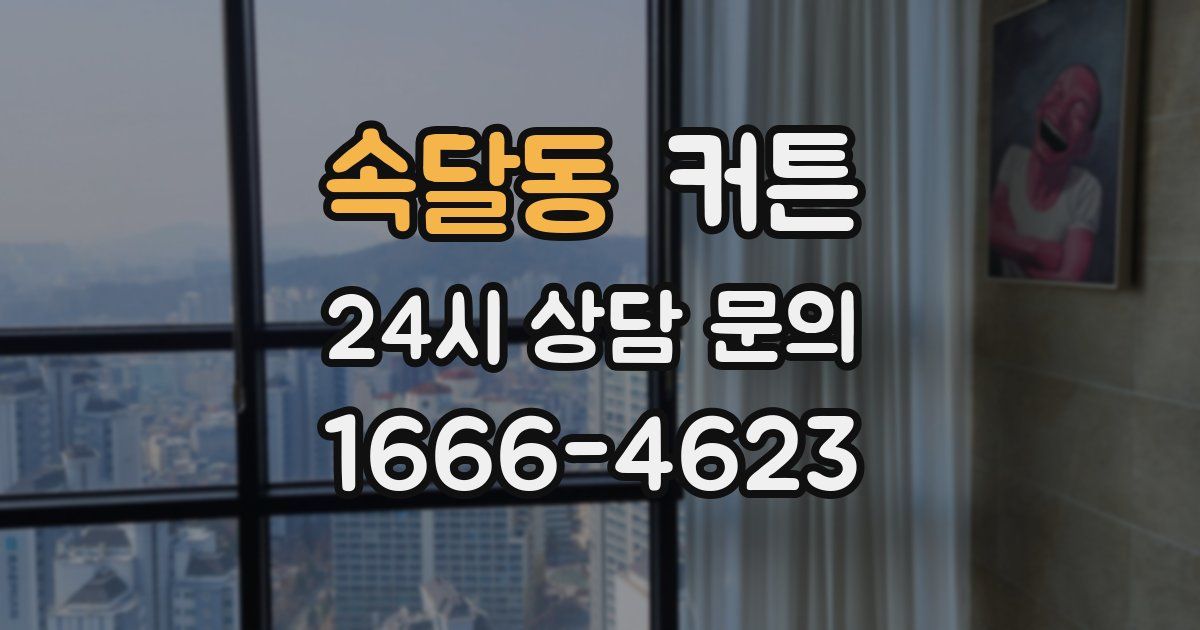 속달동 커튼