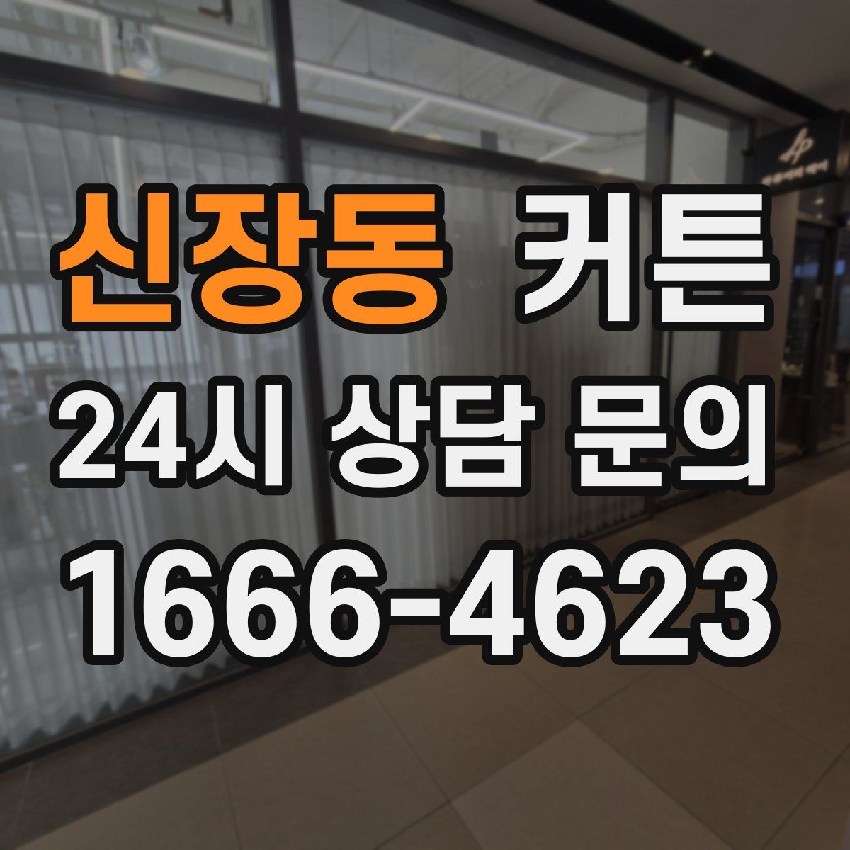 신장동 커튼