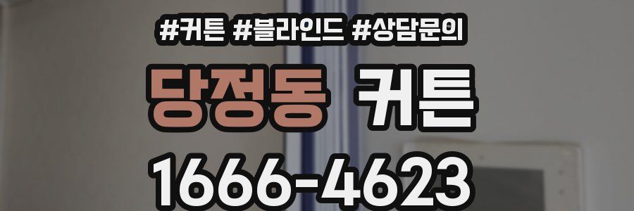 당정동 커튼