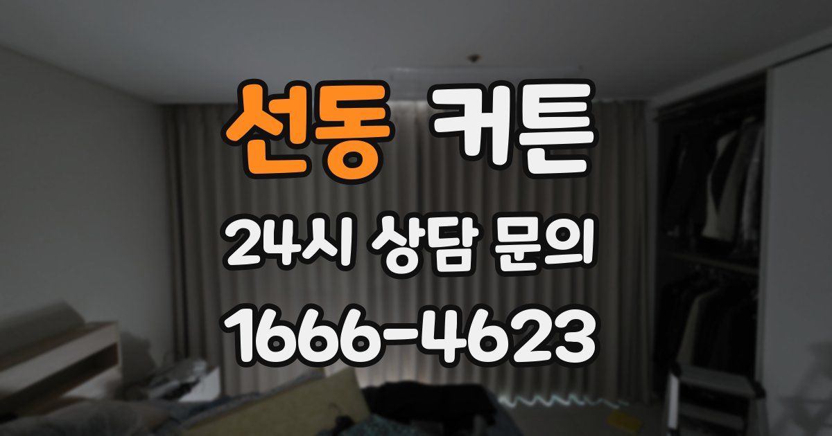 선동 커튼