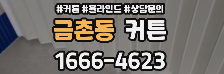 금촌동 커튼
