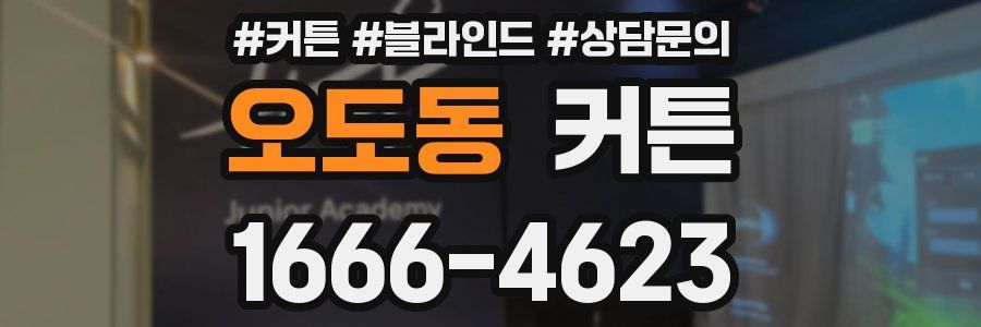 오도동 커튼