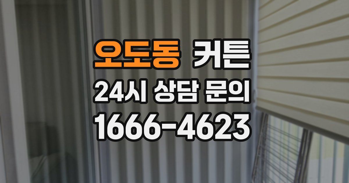 오도동 커튼