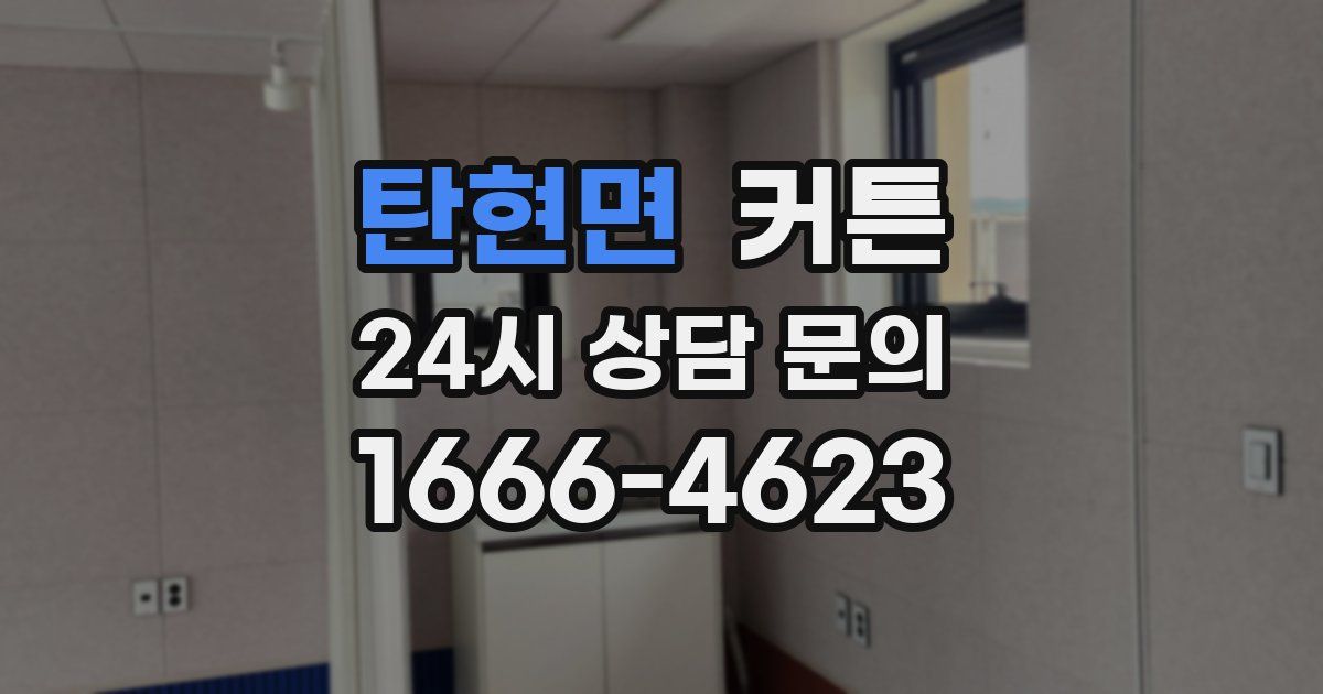 탄현면 커튼