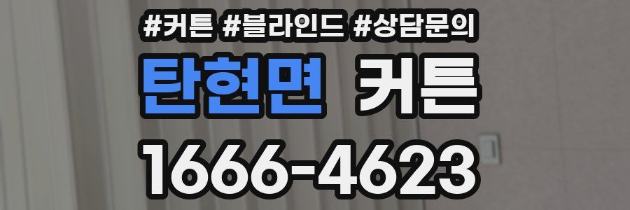 탄현면 커튼