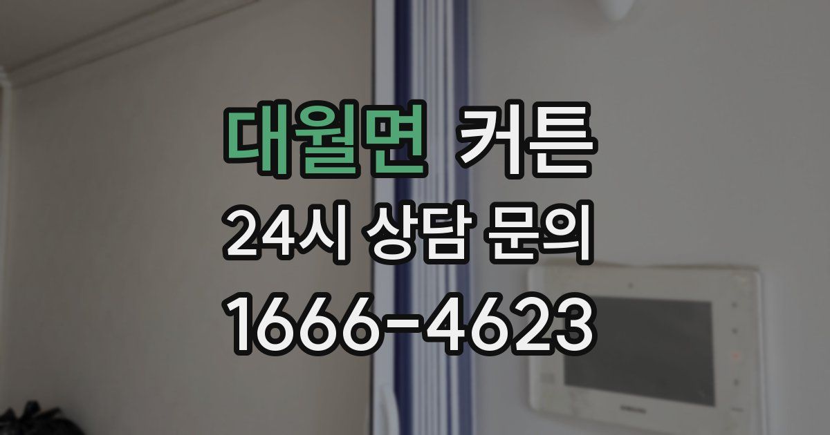 대월면 커튼