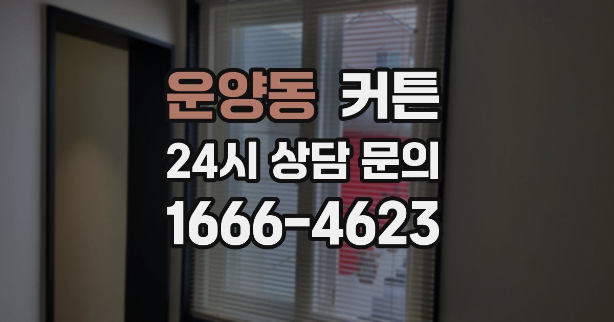 운양동 커튼