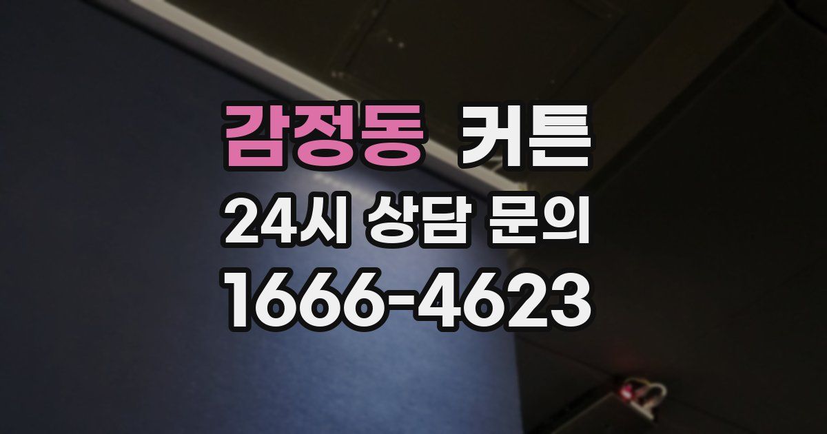 감정동 커튼
