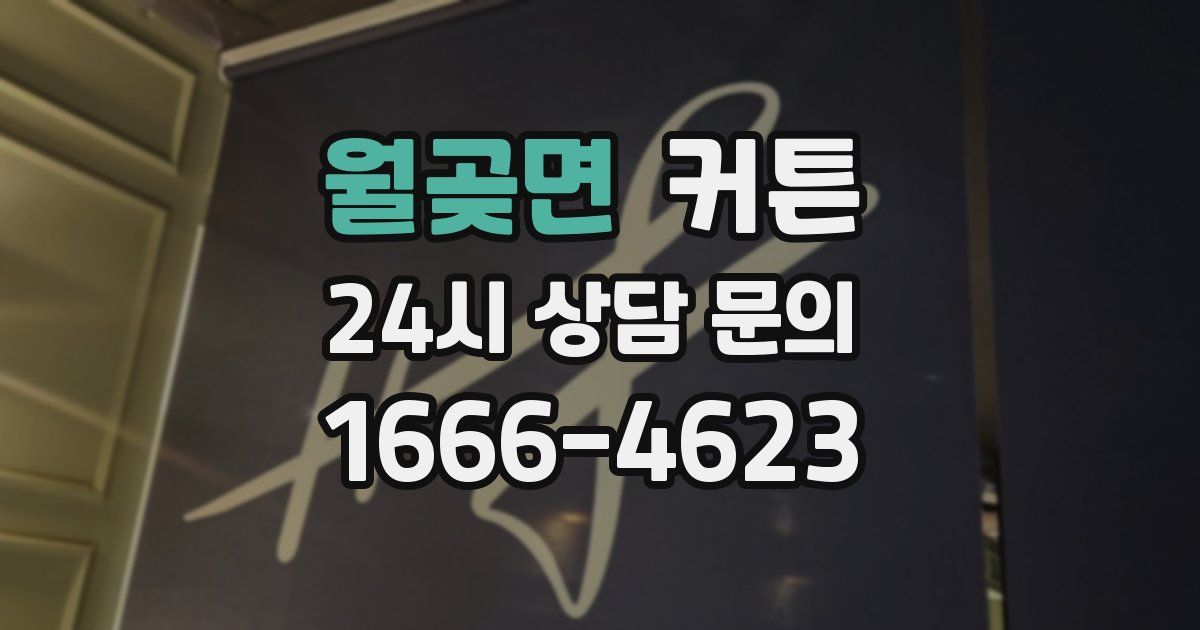월곶면 커튼