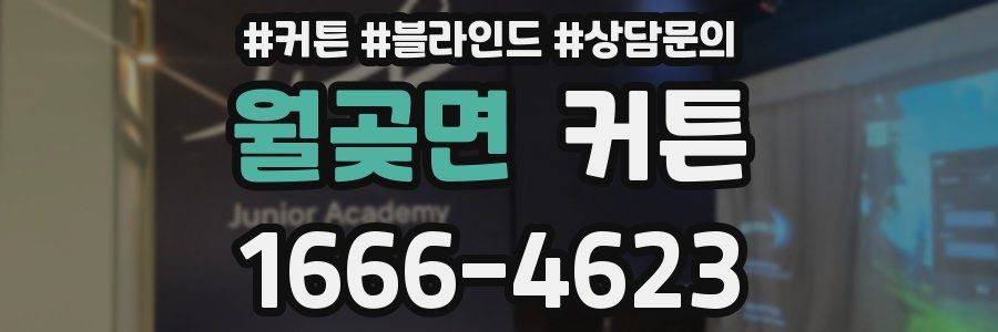 월곶면 커튼