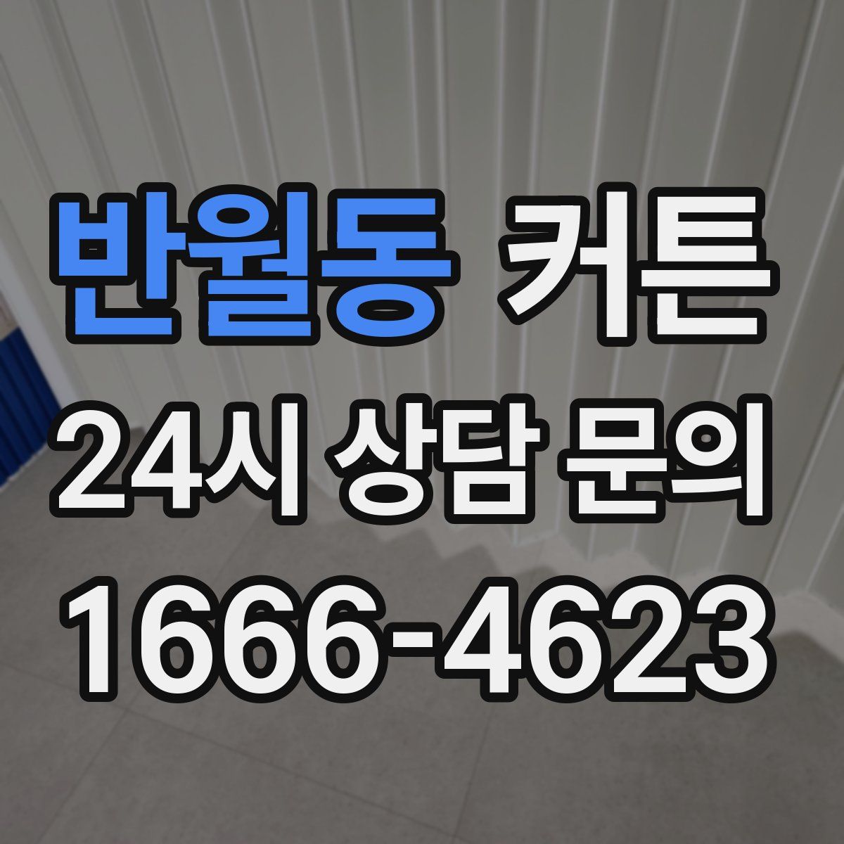 반월동 커튼