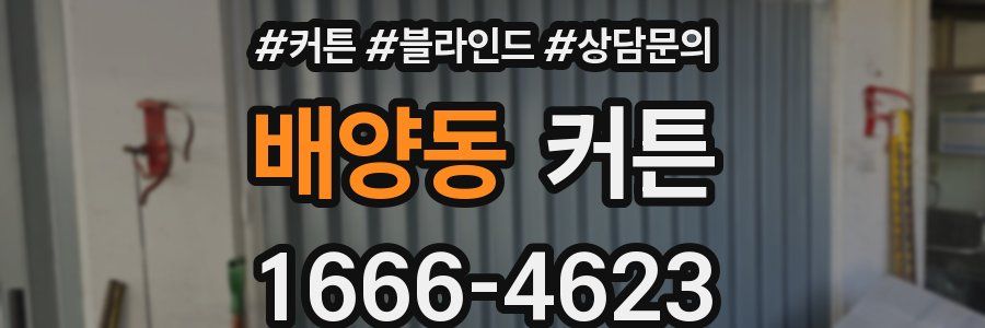 배양동 커튼