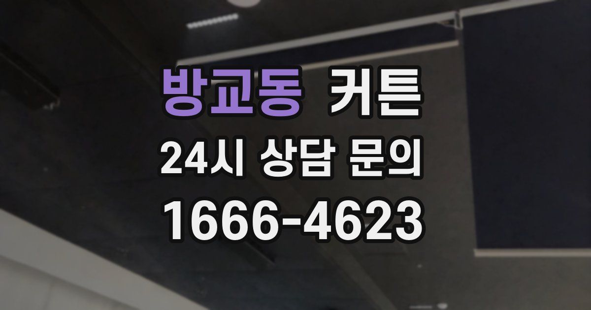 방교동 커튼