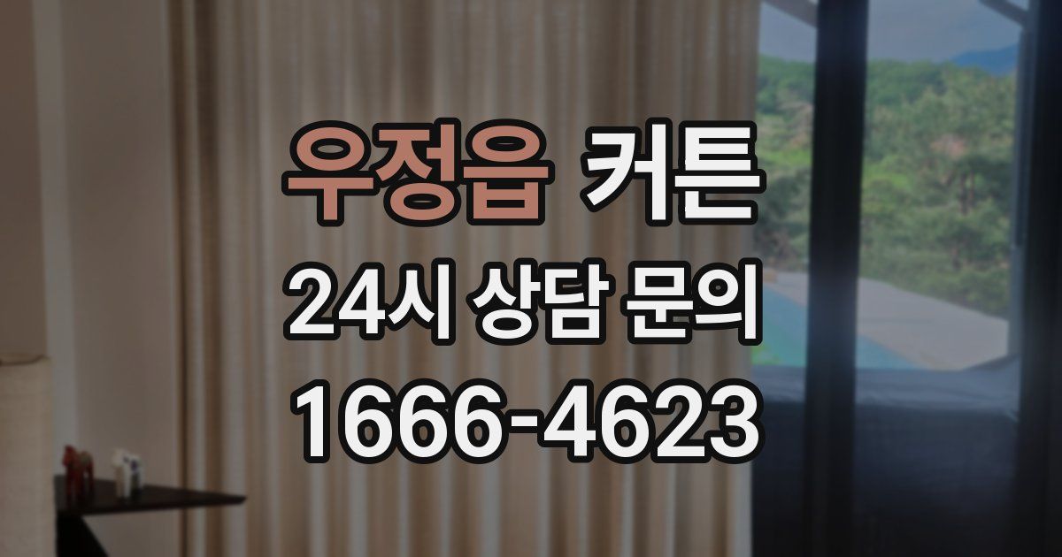 우정읍 커튼