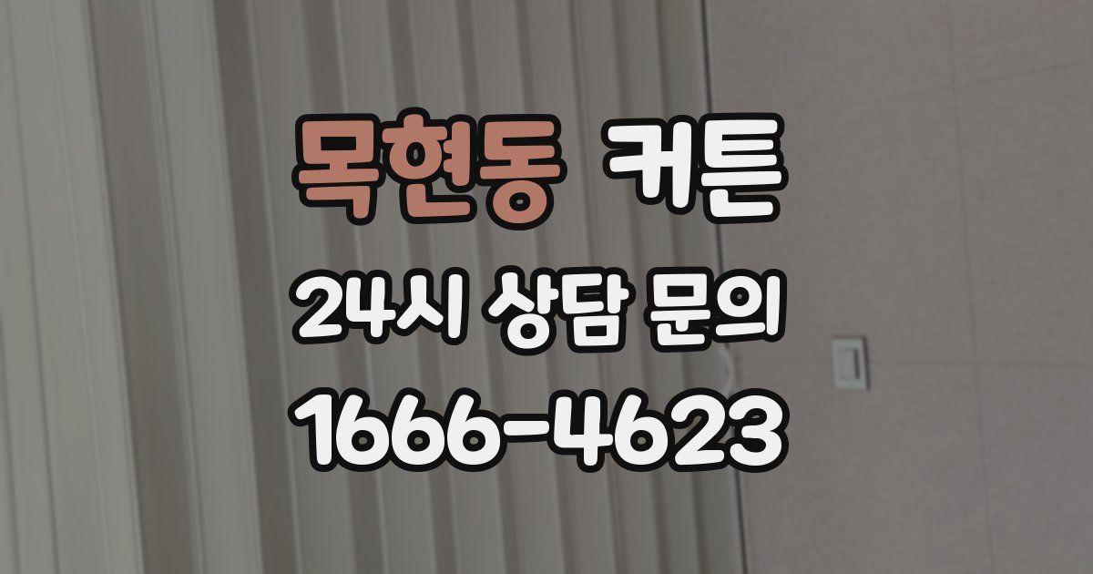 목현동 커튼