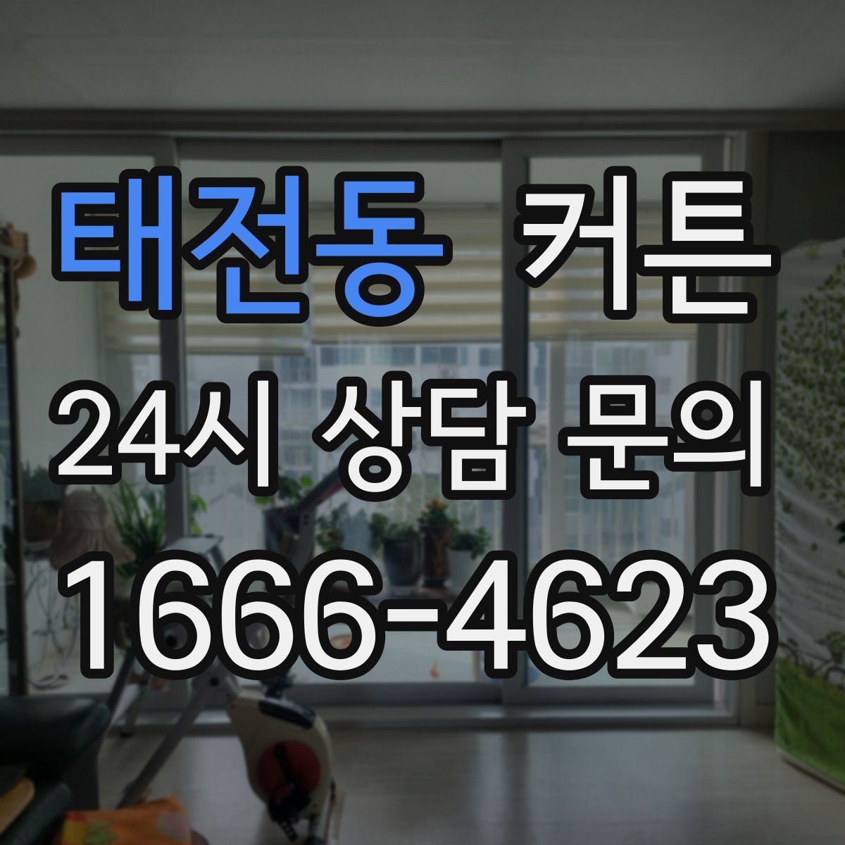 태전동 커튼