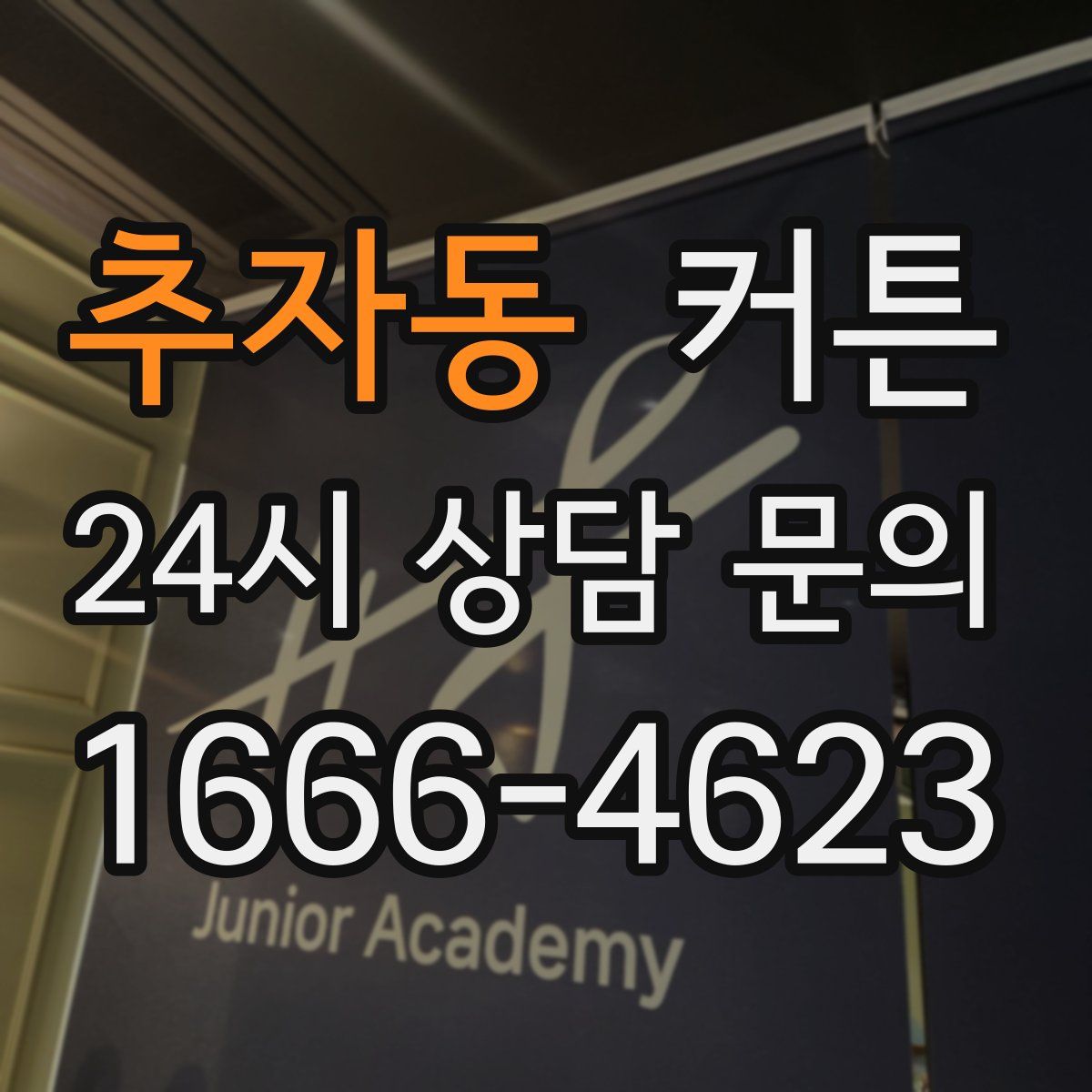 추자동 커튼