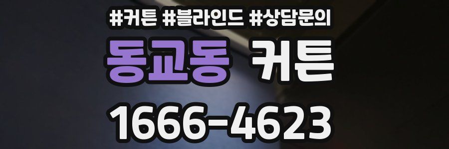 동교동 커튼