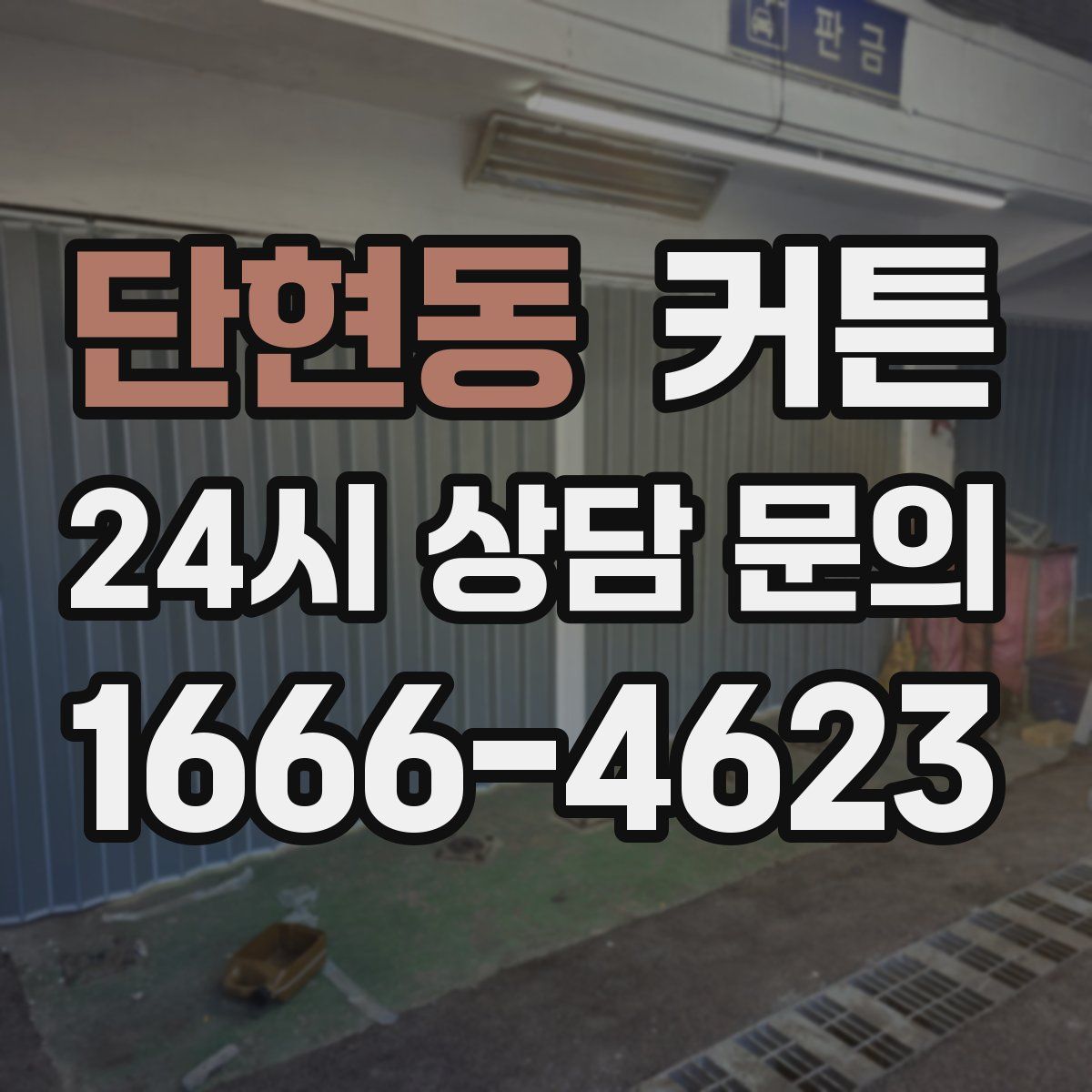 단현동 커튼