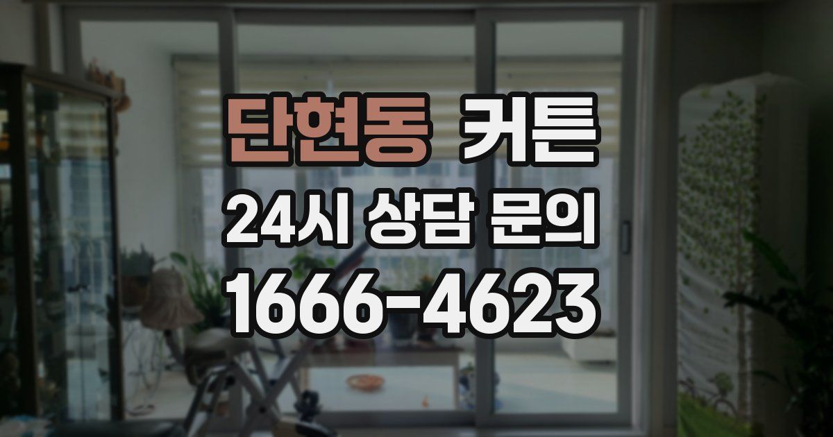 단현동 커튼