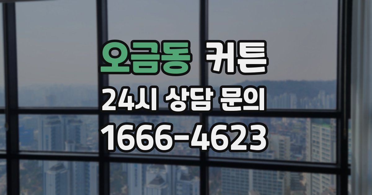 오금동 커튼