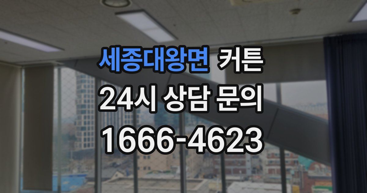 세종대왕면 커튼