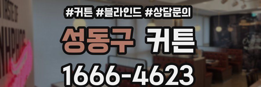 성동구 커튼
