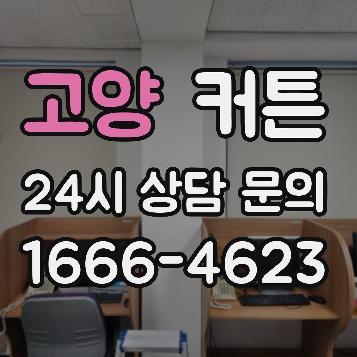 고양 커튼