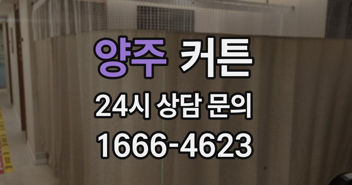 양주 커튼