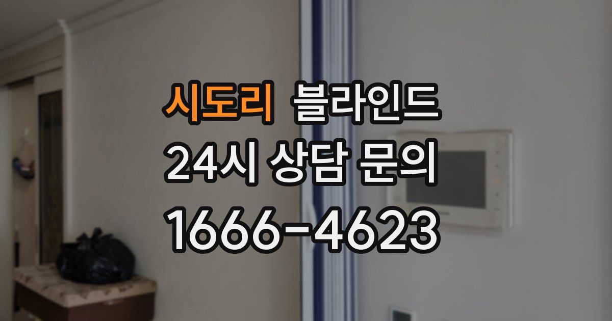시도리 블라인드