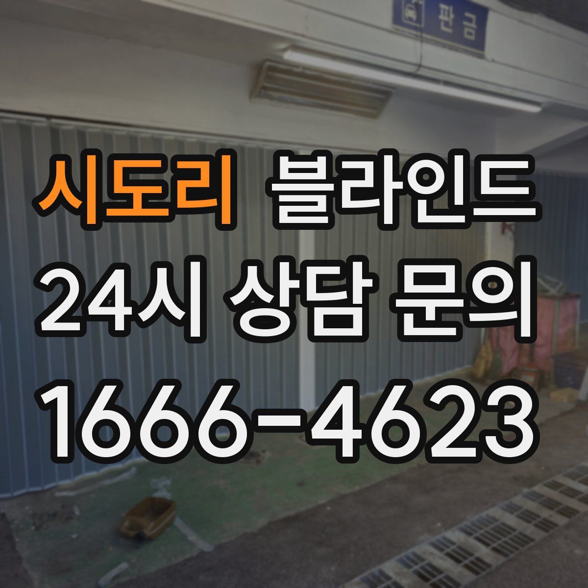 시도리 블라인드