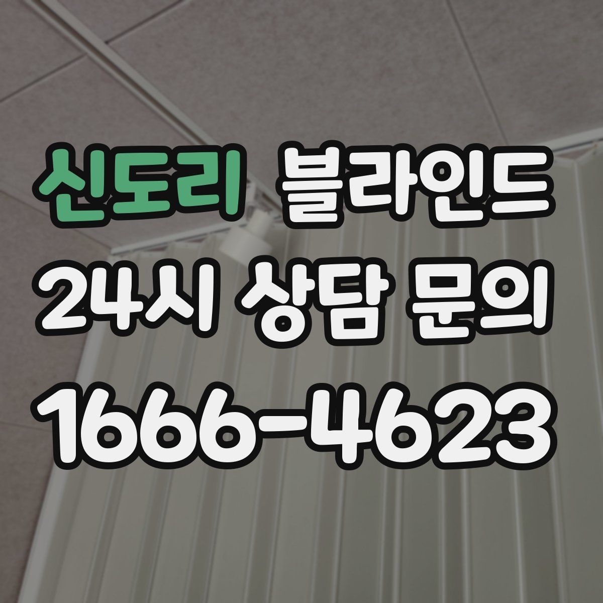 신도리 블라인드