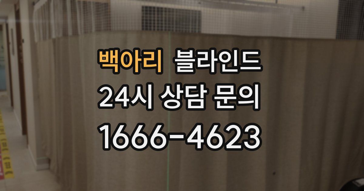 백아리 블라인드