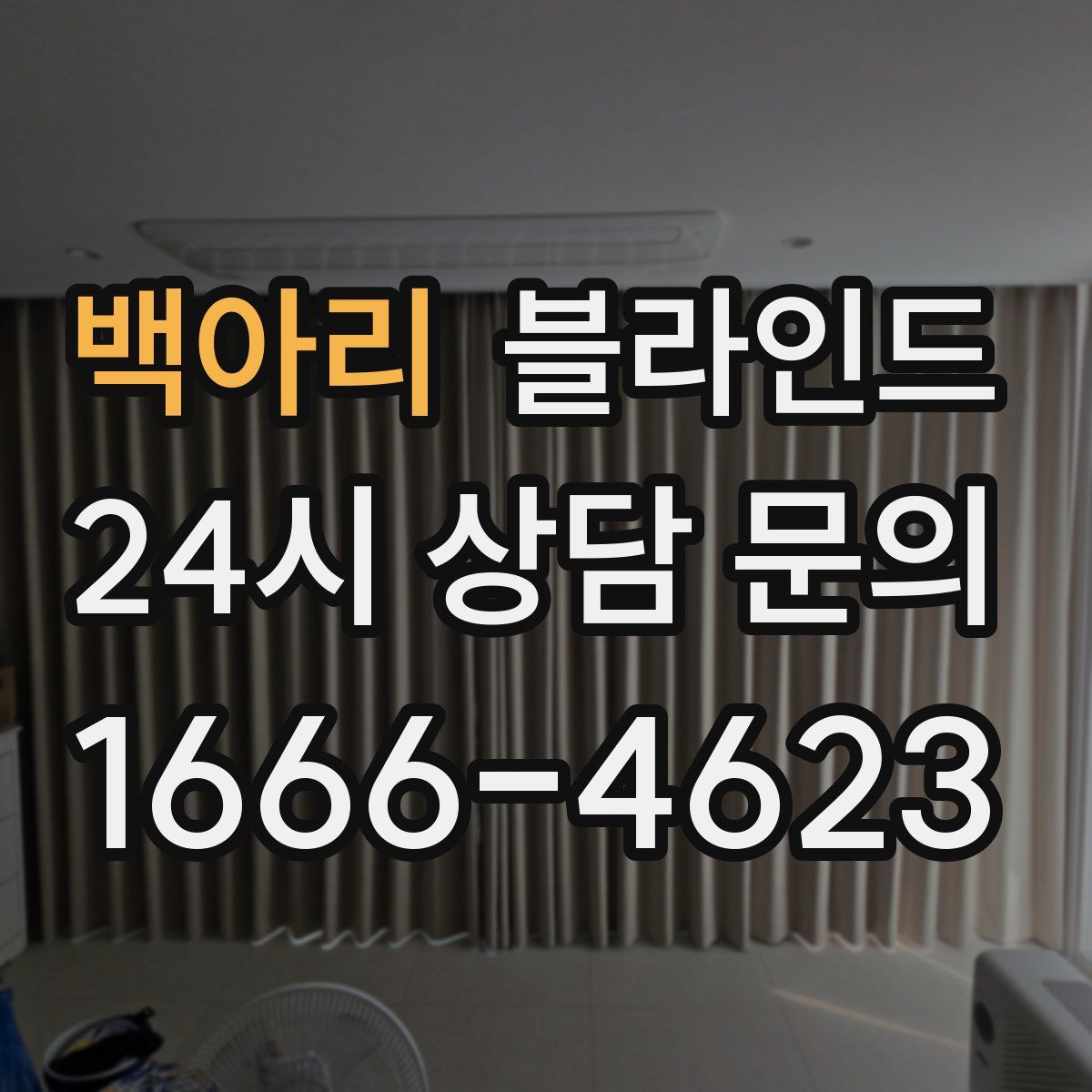 백아리 블라인드
