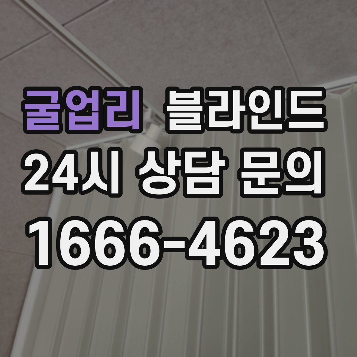 굴업리 블라인드