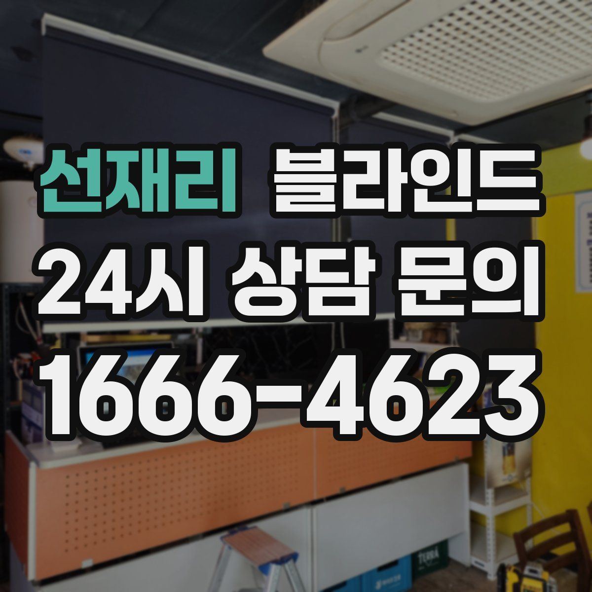 선재리 블라인드